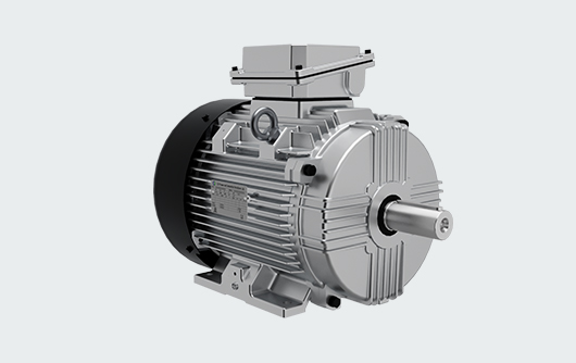 Brake Motor