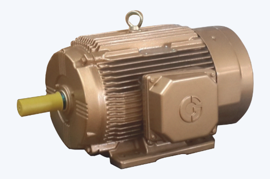 IE4 Apex Series Motor