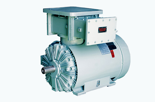 Flame Proof Large Motor
