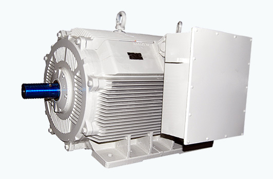 Increased Safety Motor LV